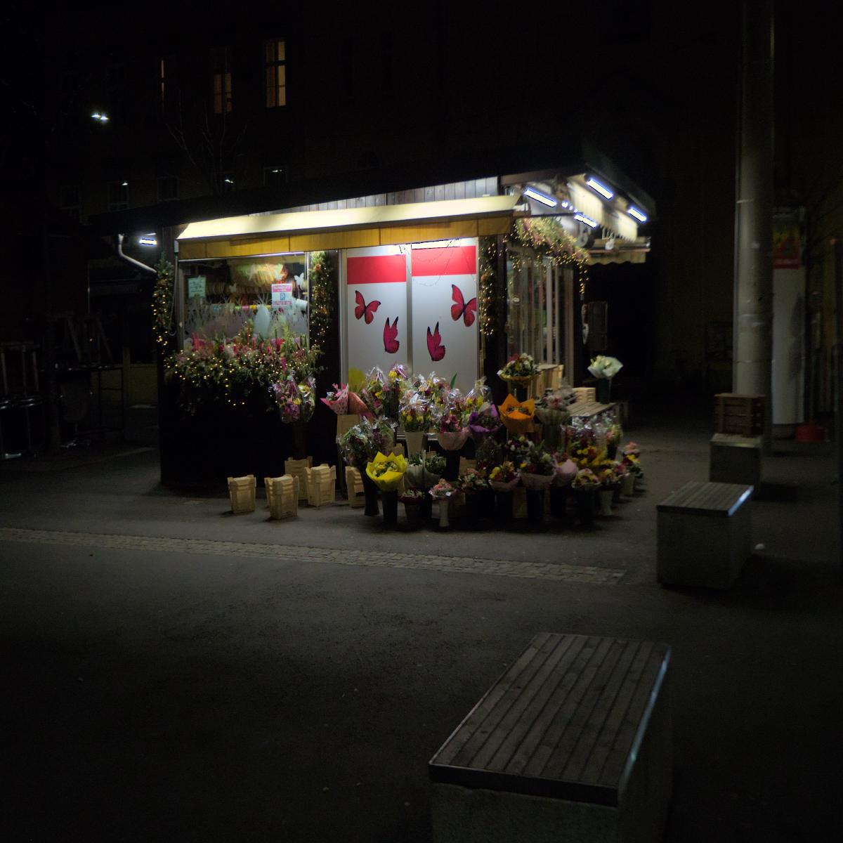 A bit of life in the darkness